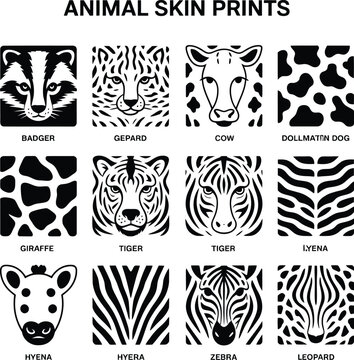 Animal skin prints featuring various wild animal icons and patterns