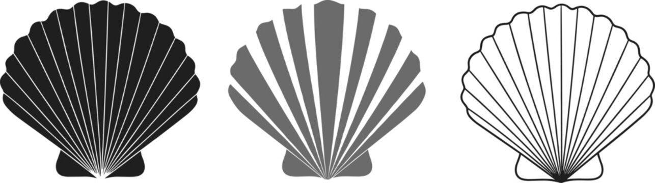 Stylized scallop shell vector illustration set, decorative marine design with solid, striped, and outlined variations for coastal art themes