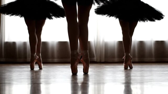 Ballet dancers on pointe shoes.