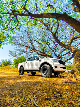 Huai Thalaeng, Thailand &ndash; February 21, 2026: White four-door pickup truck Ford Ranger, pickup truck parked under a large spreading tree in the countryside. Adventure and travel concept.