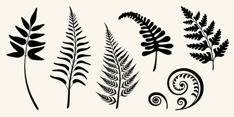 Black silhouettes of various fern leaves and decorative botanical elements © ChandanaRani
