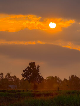 Beautiful sunrise over the rural rice field golden sun shining through clouds with dramatic sky.