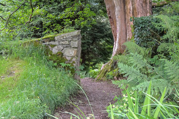 Fototapeta premium Woodland Path with Moss Covered Stone Wall and Large Tree