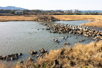 神奈川県相模原市からの相模川風景