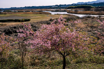神奈川県相模原市からの相模川風景