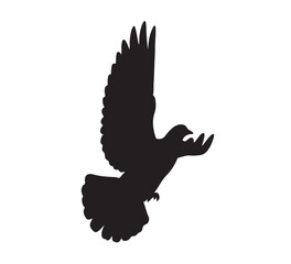 Silhouette of a bird in flight, symbolizing peace, freedom, and hope, rendered in stark black and white against a clean backdrop