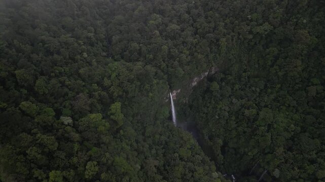 Drone view of Quebrada Gata waterfall on river Rio Toro in Costa Rica near Bajos Del Toro in lush dense misty jungle