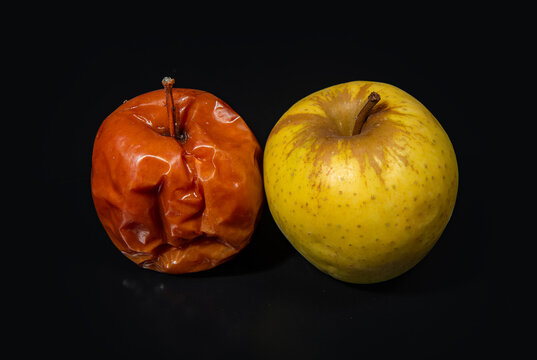Spoiled Vs Rotten 개념의 영감을 주는 스톡 에셋 | Adobe Stock