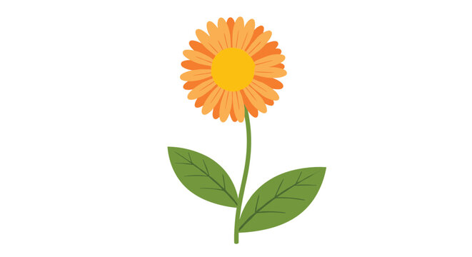 Bright orange flower with many petals on a green stem with two large leaves is presented as a simple flat illustration on white.