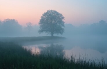 Misty lake at dawn with tree silhouette on island. Calm water reflects pastel sky and soft light. Foggy nature landscape with reeds on shore.