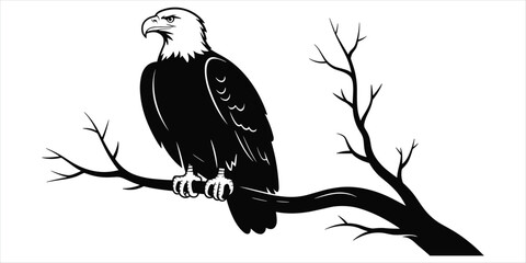 Black silhouette of a bald eagle perched on a bare tree branch against white bird © Rasel