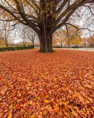 Autumn leaves on ground with large tree