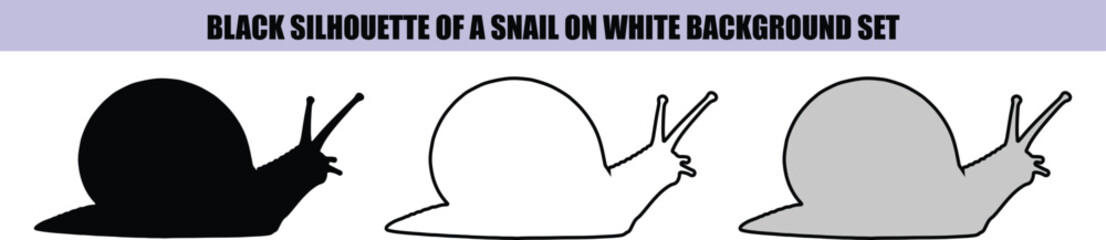 Black silhouette snail on white background © Md