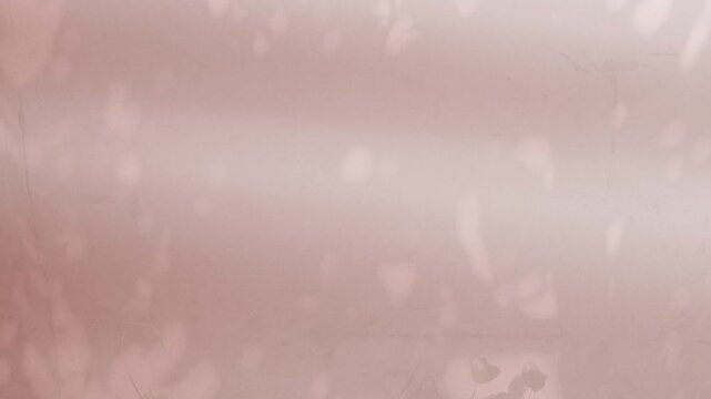 Abstract shadow pink premium gradation background texture blur gradient light pastel abstract luxury premium mockup peach color backdrop template valentine summer spring overlay mockup