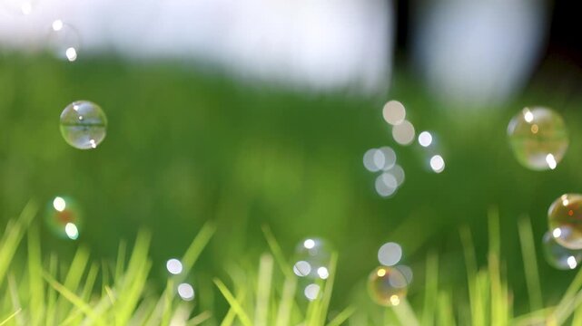 Green Grass Field with Floating Bokeh Bubbles