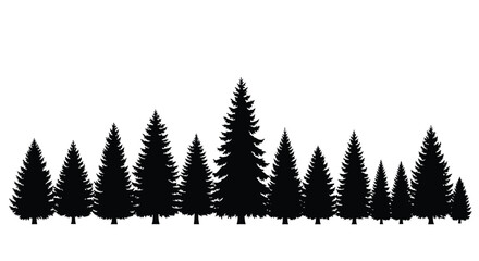 A silhouette of coniferous trees forming a forest landscape © msunny93