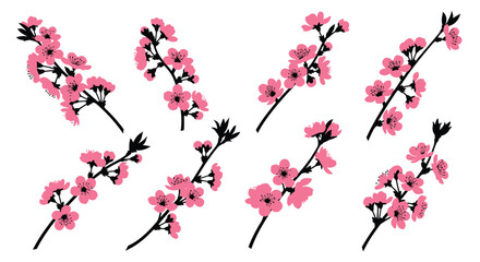 Delicate pink cherry blossom branches scattered across a white background