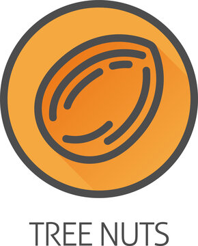 A tree nut such as an almond food stylised icon concept. Possibly an icon for the allergen or allergy.