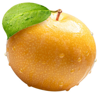 Premium yellow snow pear with fresh green leaf and water droplets, isolated close-up highlighting juicy texture, natural freshness and healthy organic fruit concept.
