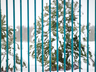 painted metal fence in winter