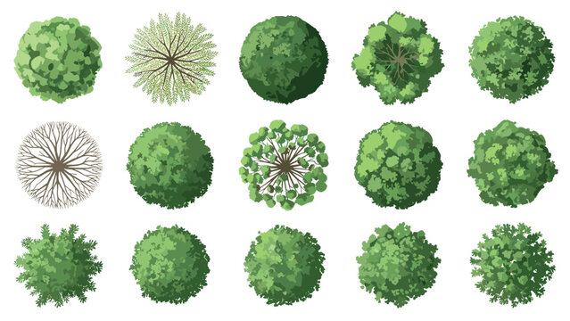 Set of various trees top view in green color for architectural and landscape plans