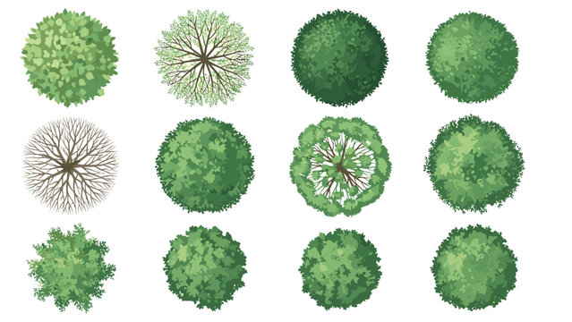 Set of trees, top view for landscape and architectural design, plan, vector illustration