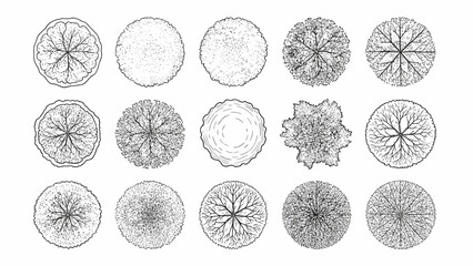 Architectural landscape plan view tree symbols for site mapping and garden design overhead graphics © Emongrapic
