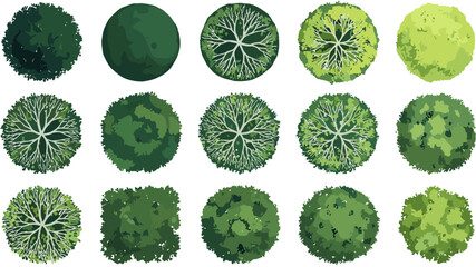 Vegetation plan view collection with green tree canopy icons for architectural landscape site design © Emongrapic