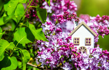 The symbol of the house among the branches of the pink lilac
