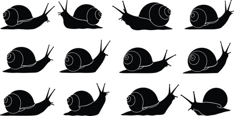 Set of twelve black snail silhouettes crawling in different positions isolated on white background for slow movement speed nature and gastropod concepts © rehna
