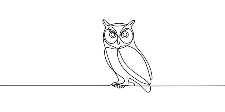 Owl bird continuous one line drawing, single line art element, minimalist sketch line vector illustration, autum and thanksgiving concept