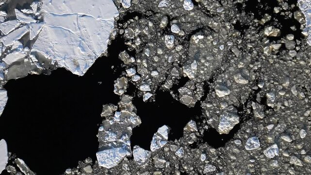 pieces of ice blocks floating on water