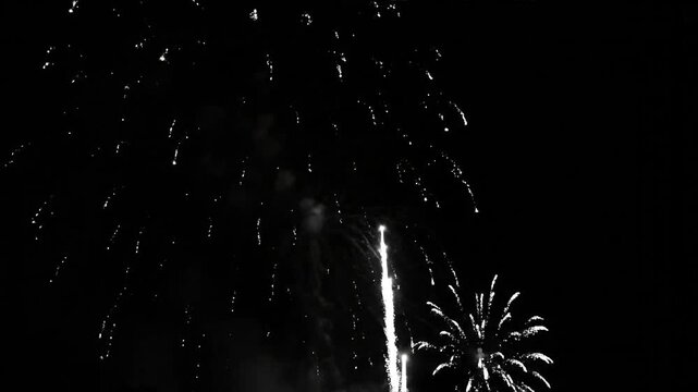 Black and white fireworks display against a dark sky background