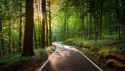Fototapeta premium a serene bicycle lane winding through a dense forest surrounded by trees and natural greenery creating a peaceful immersive outdoor pathway scene