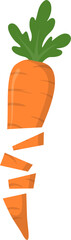 Sliced Carrot Illustration