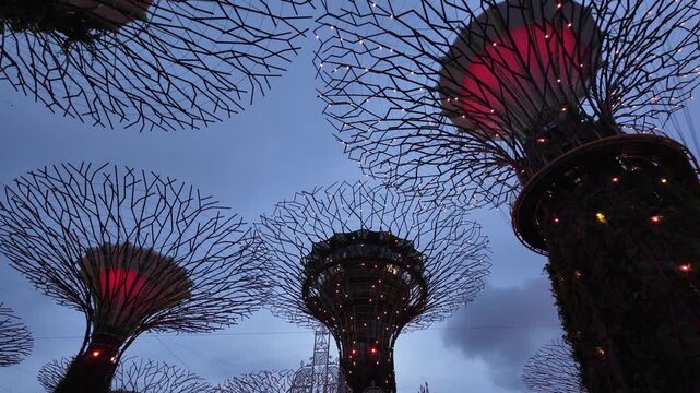 Supertree Grove at Gardens by the Bay Singapore evening light show Christmas Wonderland