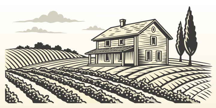 A house on a farm with rows of crops Vector