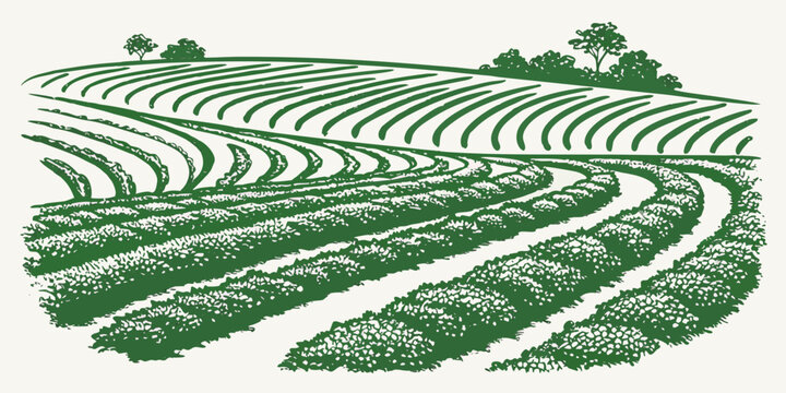 A green field with rows of crops and trees Vector