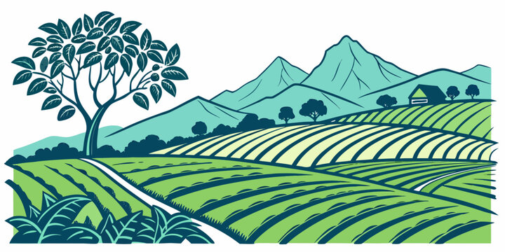 A green tea plantation in the mountains Vector