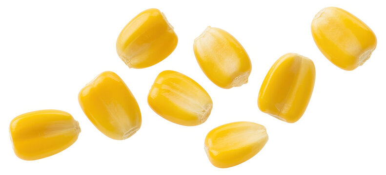 Group of yellow corn kernels food