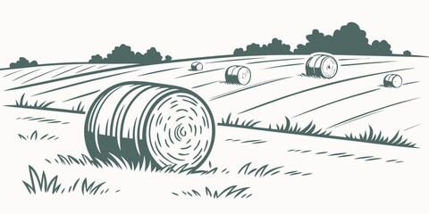 A green line drawing of a hay bale in a field Vector © Adobe 