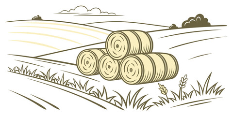 A pile of hay bales in a field at sunset Vector © Adobe 