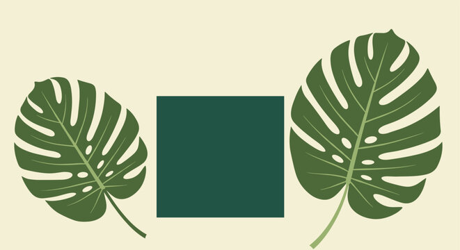 Minimalist design featuring two green monstera deliciosa leaves on either side of a dark green square against a light beige background.