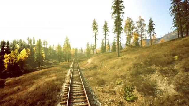 Provide varied versions, Create distinct paraphrased statements, Produce diverse expressions maintaining original meaning consistently across versions