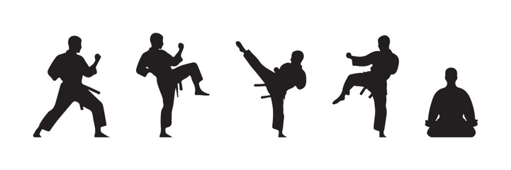 silhouette of man karate pose © James