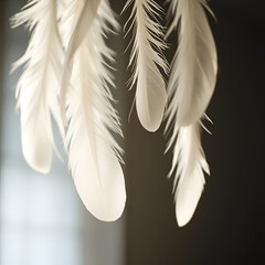 Naklejka premium Close-up view of hanging white feathers swaying gently in soft lighting against a dark blurred background, creating a dreamy, ethereal effect.