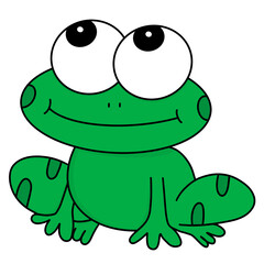 Fototapeta premium green frog