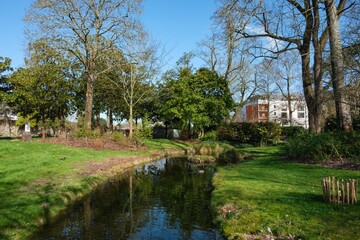 Obraz premium Paysage printanier et nature verdoyante au Jardin des Plantes de Nantes