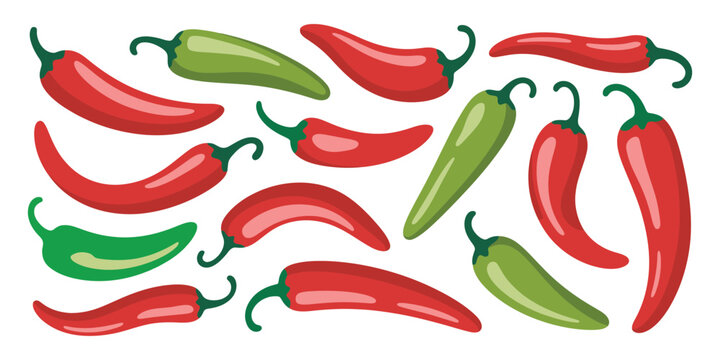 Cartoon red chili and green jalapeno peppers vector, spicy vegetable illustration for Mexican hot sauce, serrano and paprika pepper food spice icons for logo, label and menu design.