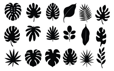 Tropical Leaf Silhouette Icon Collection, Black Monstera Palm Ficus Botanical Glyph Set for Brand Logo © magic390